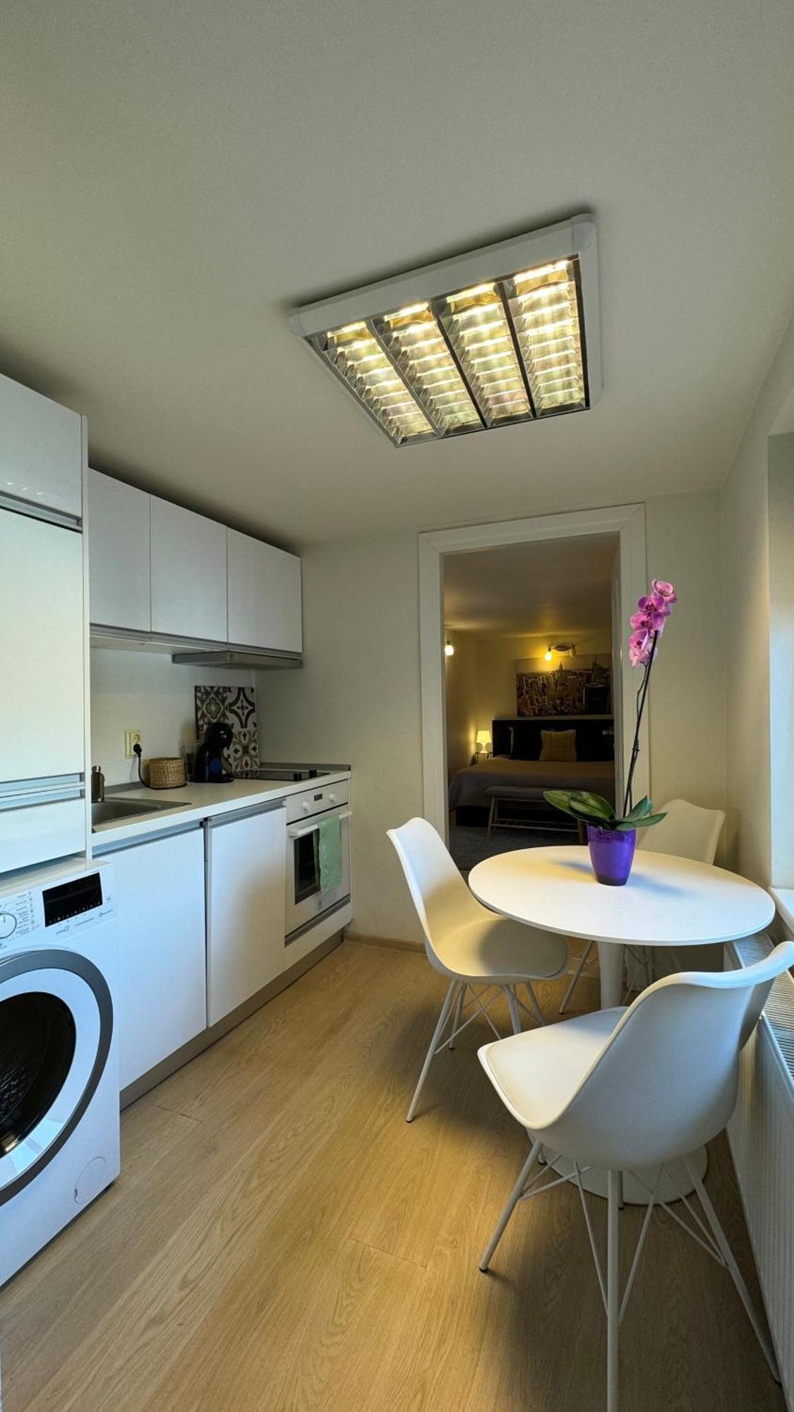 טימישוארה Elite Residence מראה חיצוני תמונה